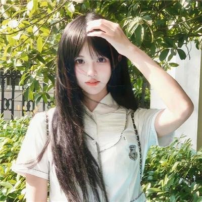 龙霸天下